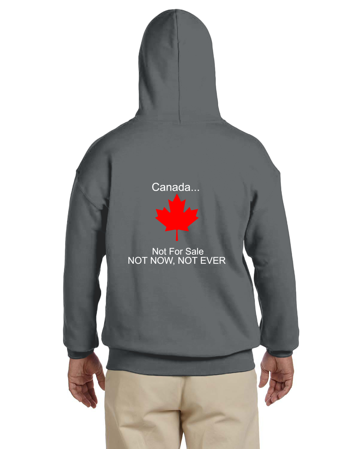 mockup_back_full_1741017875_g185-charcoal-back_7.png